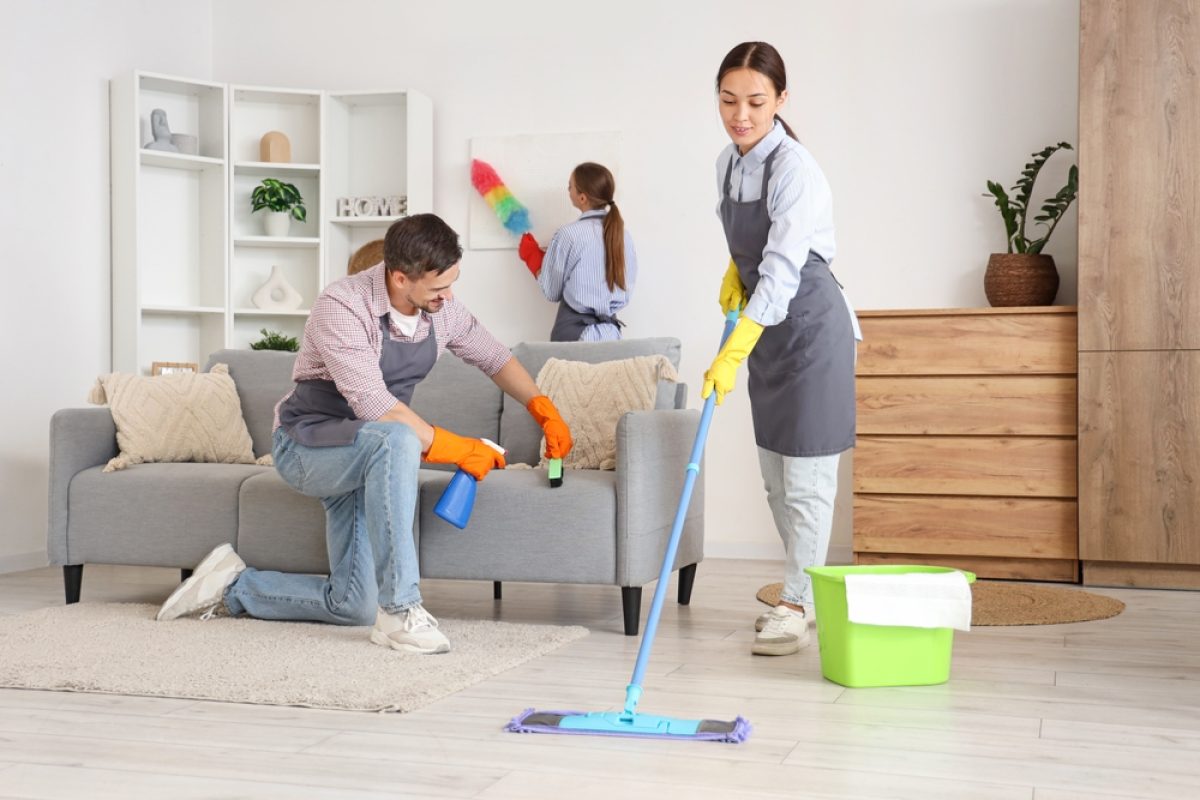 Professional Cleaning Solutions for Every Space in Hillsboro, VA